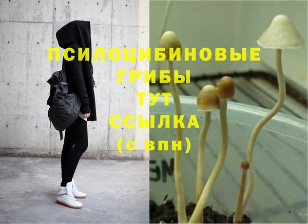 метадон Заводоуковск