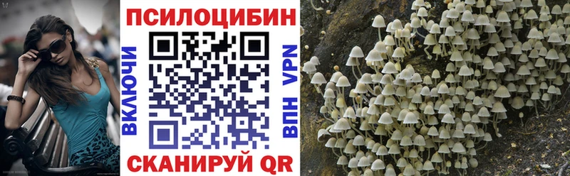 ссылка на мегу онион Зверево Галлюциногенные грибы GOLDEN TEACHER закладка